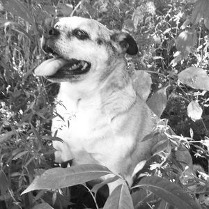 Meet your Posher, Brandy